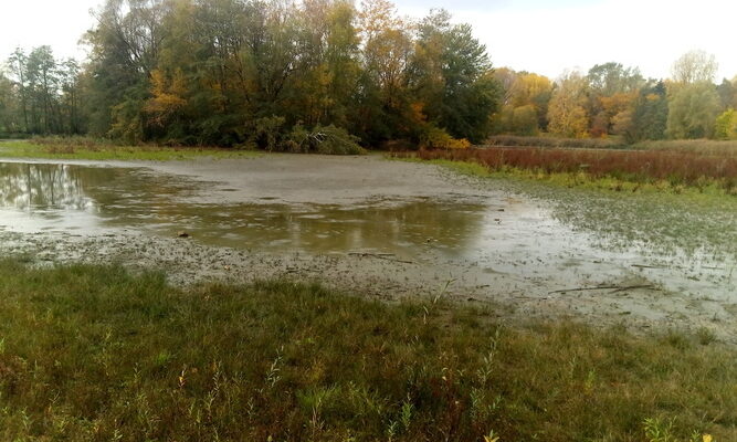 Marienberg Weiher Park Nürnberg