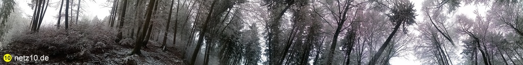 Wald panorama schnee 728 5