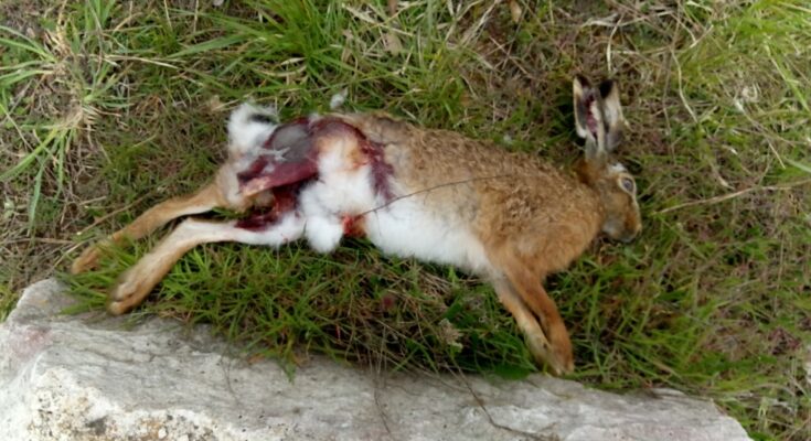 Img 20210417 220636 205