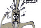 Hase gehts noch 45