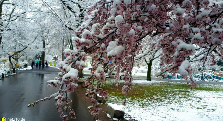 Img 20220402 104945 7