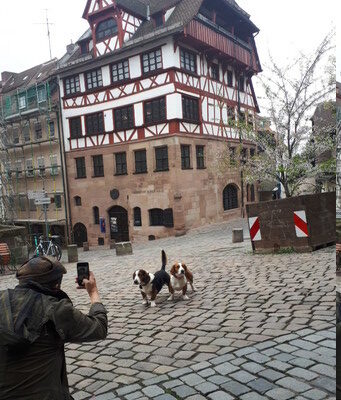 Foto session duererhaus 3