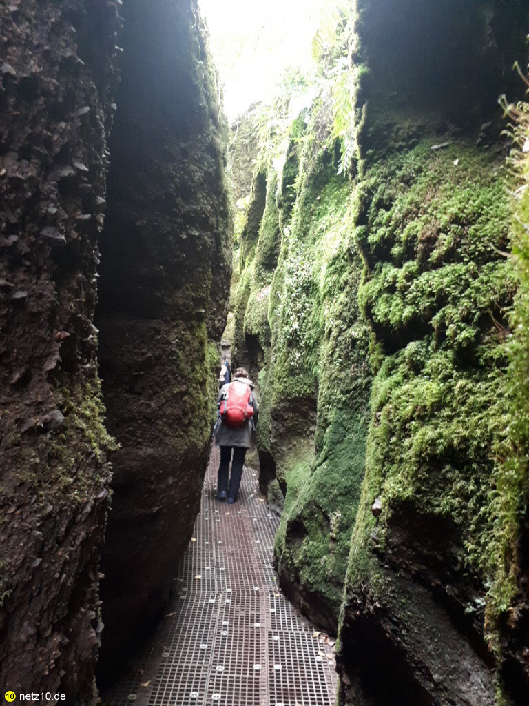 Thüringer wald wanderung 15 124614 2