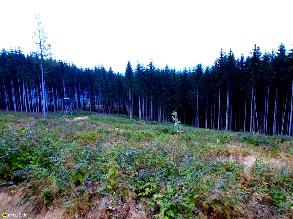 Thüringer wald wanderung 17 180437 6