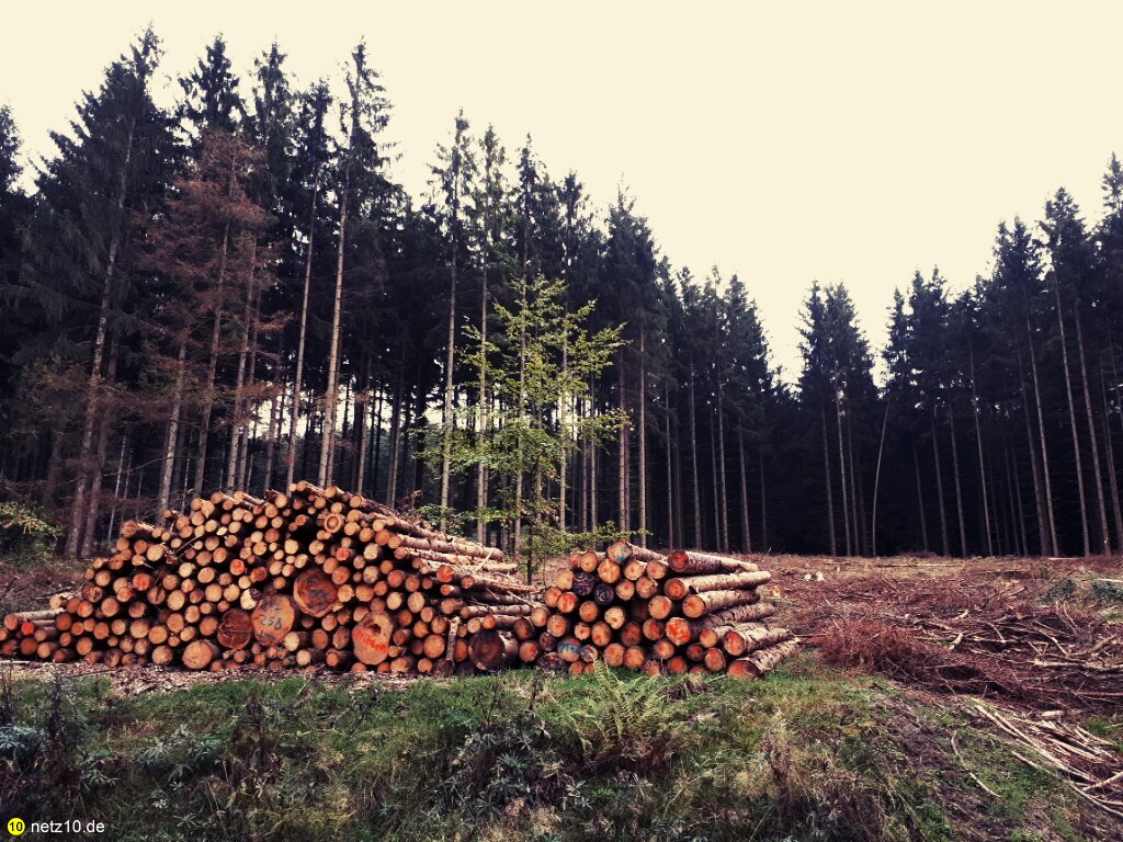 Thüringer wald wanderung 17 182230 8