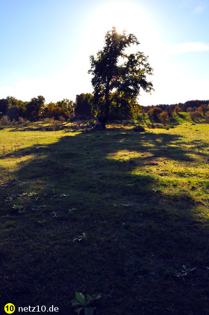 Hainberg natur 2