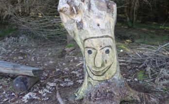 Schneekopf thueringen 2025 1