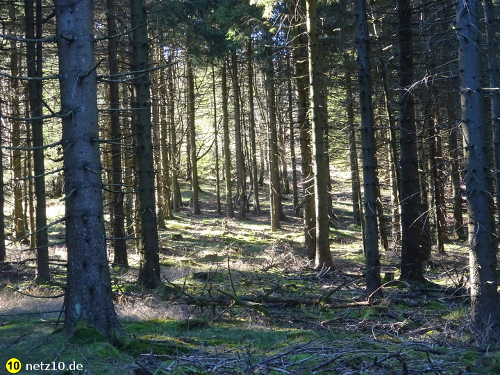 Schneekopf thueringen 2025 18