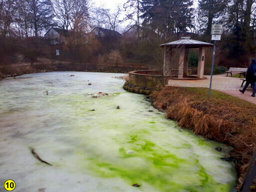 Pegnitztal nuernberg fuerth winter 2026 23
