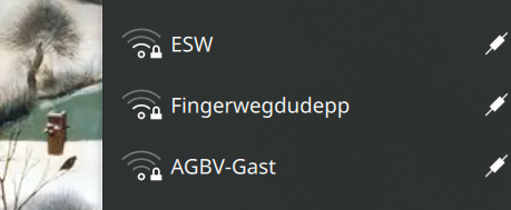 Fingeer weg du depp wlan ssid