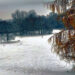 Marienberg nuernberg schnee dezember 202017 6